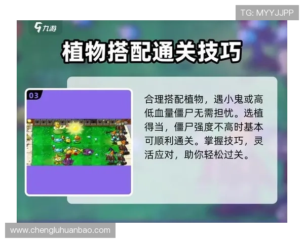 开云九游娱乐官网手机版：详细攻略助你轻松通关热门游戏内容