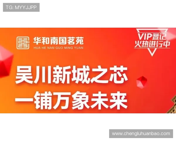 华体会VIP：VIP会员专属的定期优惠活动与个性化服务内容分析